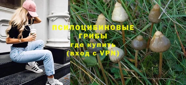 мдпв Лихославль