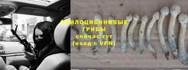 тгк Ладушкин