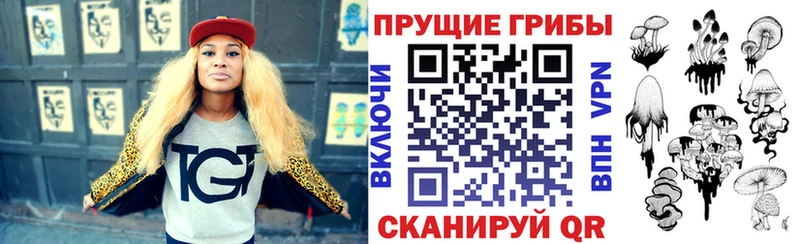 купить   Темников  Галлюциногенные грибы Psilocybine cubensis 